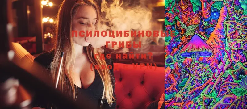 Псилоцибиновые грибы Cubensis  закладка  Любим 